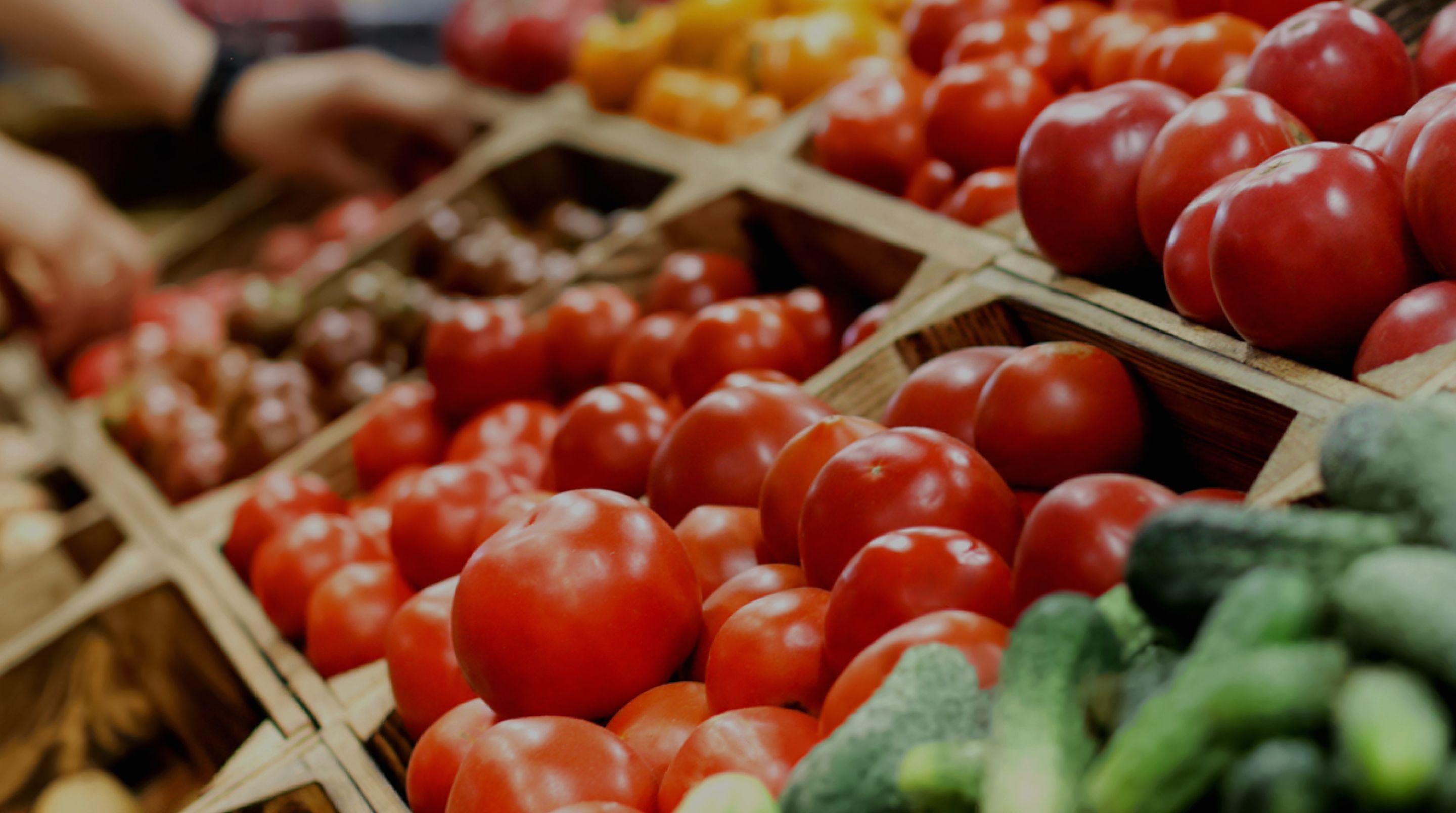 Yvan Perreault distribution alimentaire image